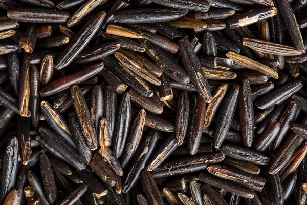 The wild rice. — Stock Photo, Image