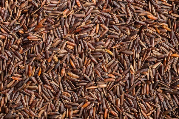 未煮熟的红米 生野生水稻的模式 顶部视图 — 图库照片