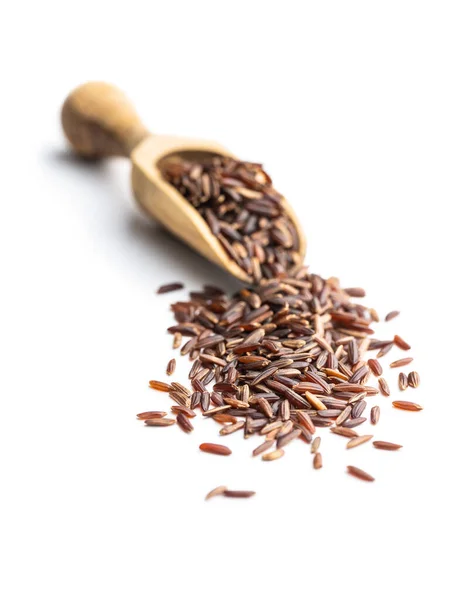 Uncooked Red Rice Wooden Scoop Raw Wild Rice Isolated White — Stock Photo, Image