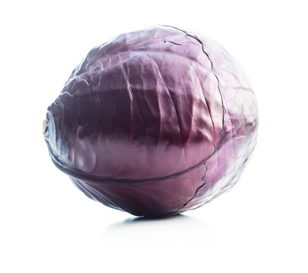 Frischer Rotkohl Isoliert Auf Weißem Hintergrund — Stockfoto