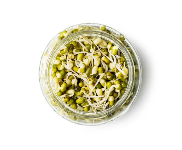 Sprouted Green Mung Beans Mung Sprouts Jar Isolated White Background — Stock Photo, Image