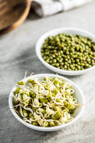 Trotse Groene Mungbonen Gedroogde Bonen Kom Mung Spruitjes Keukentafel — Stockfoto