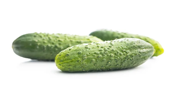 Verse Groene Komkommers Geïsoleerd Witte Achtergrond — Stockfoto