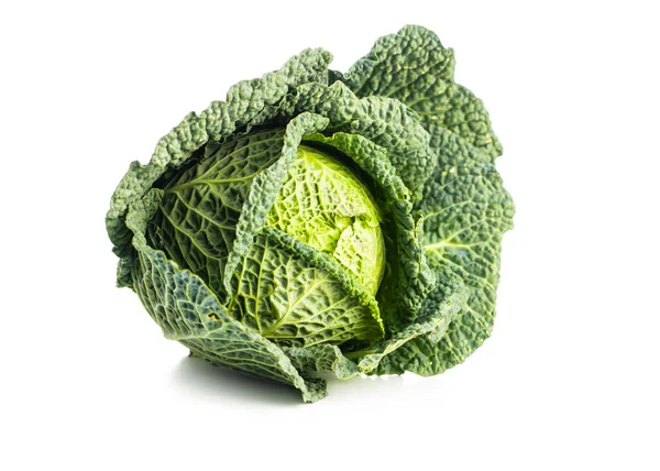 Green Savoy Cabbage Isolated White Background — Stock Photo, Image