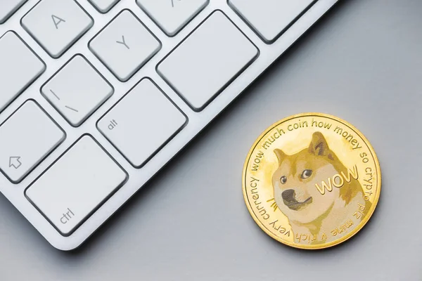 Zlatá Mince Pro Psy Kryptoměna Dogecoin Doge Cryptocurrency Computer Keyboard — Stock fotografie
