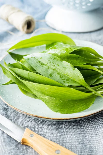 Green Ramsons Leaves Wild Garlic Plate — Stock Photo, Image