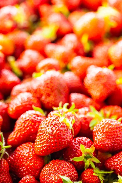 Whole Ripe Red Strawberries — Stock Photo, Image