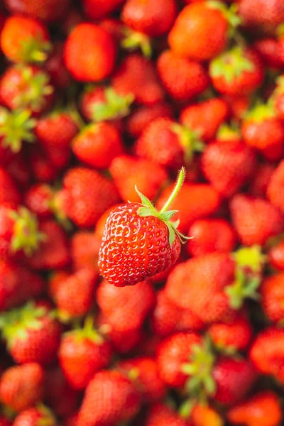 Hela Mogna Röda Jordgubbar Ovanifrån — Stockfoto