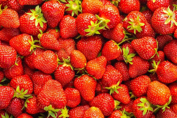 Whole Ripe Red Strawberries Top View — Stock Photo, Image