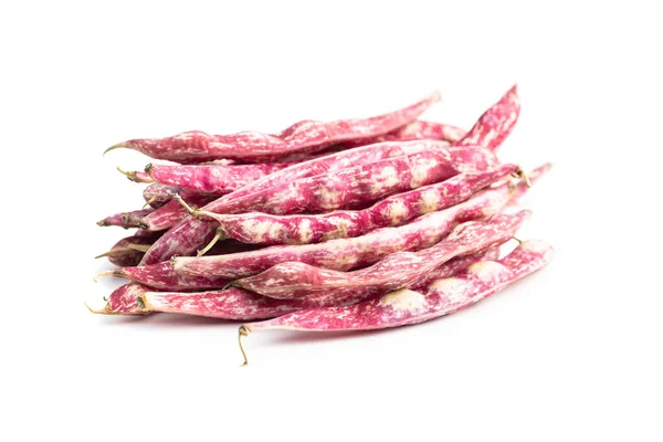 Cranberry Beans Beans Pods Isolated White Background — Stock Photo, Image