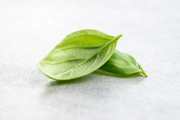 Fresh Green Basil Leaves Kitchen Table — Stock Photo, Image