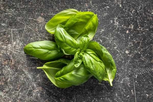 Fresh Green Basil Leaves Kitchen Table Top View — Stock Photo, Image