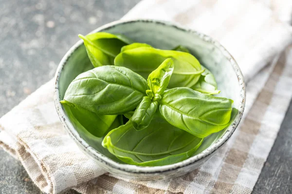 Fresh Green Basil Leaves Bowl — Stock Photo, Image