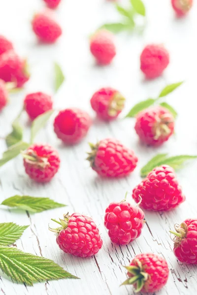 Raspberries and leaves — Stock Photo, Image
