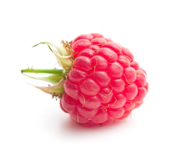 Red raspberry — Stock Photo, Image