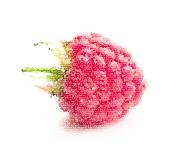 Mosaic fruit. raspberry — Stock Photo, Image