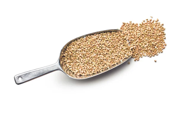 Uncooked buckwheat — Stock Photo, Image