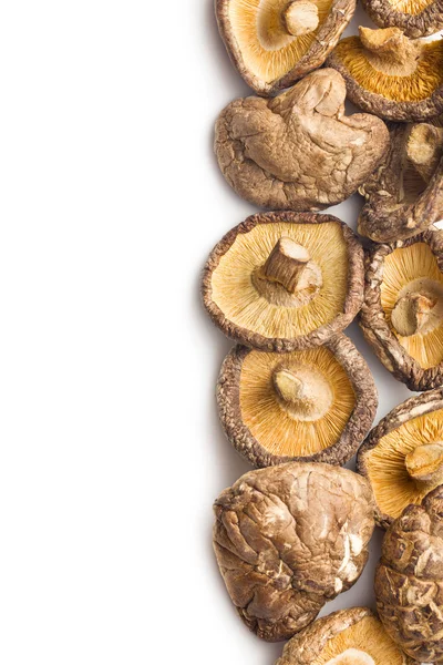 Cogumelos shiitake secos — Fotografia de Stock