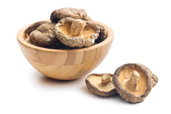 Shiitake mantar kurutulmuş — Stok fotoğraf