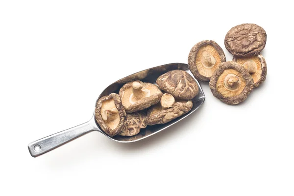 Dried shiitake mushrooms — Stock Photo, Image