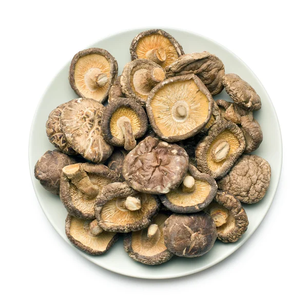 말린 표고버섯 — 스톡 사진