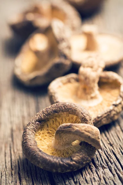 Dried shiitake mushrooms on old wooden table — Stock Photo, Image