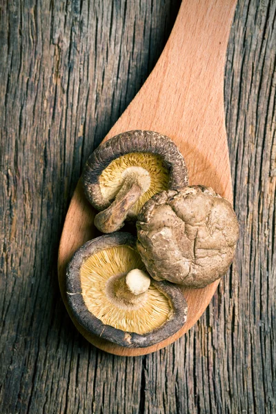 Getrocknete Shiitake-Pilze auf dem Tisch — Stockfoto