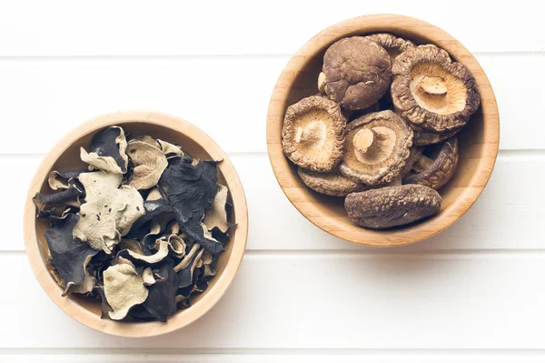 Jelly ear and shiitake mushrooms — Stock Photo, Image