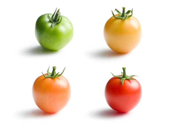 Variously ripe tomatoes — Stock Photo, Image