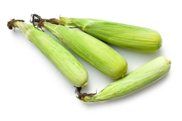 Sweet corn — Stock Photo, Image