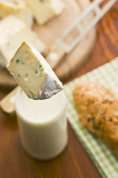 Queso azul con leche —  Fotos de Stock