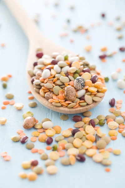 Mixture of legumes — Stock Photo, Image