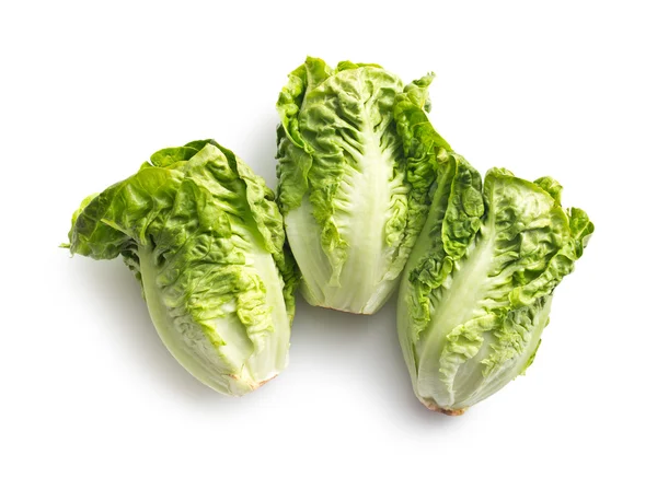 Fresh lettuce — Stock Photo, Image