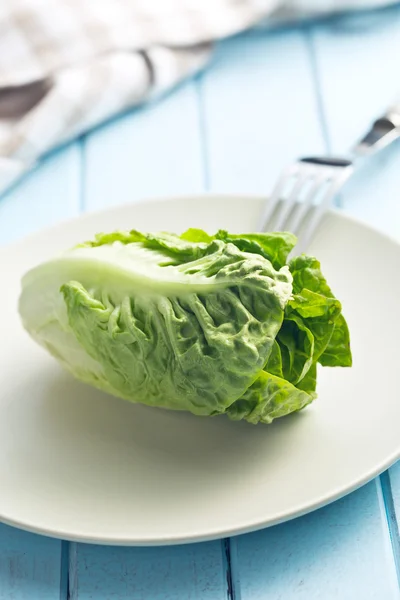 Fresh lettuce — Stock Photo, Image