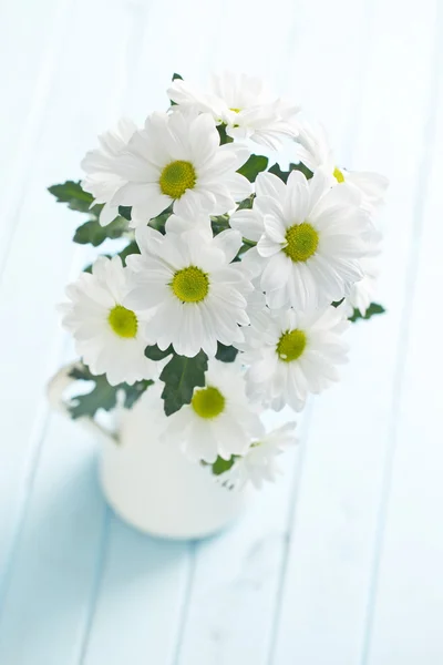 Chrysanthemenblümchen — Stockfoto