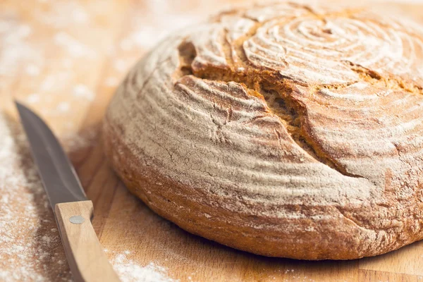 Round bread — Stock Photo, Image