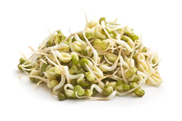 Sprouted mung beans — Stock Photo, Image