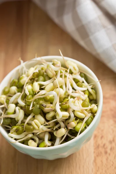 Sprouted mung beans — Stock Photo, Image