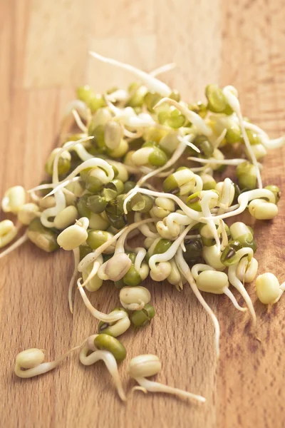 Sprouted mung beans — Stock Photo, Image