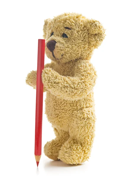Teddybär mit Bleistift — Stockfoto