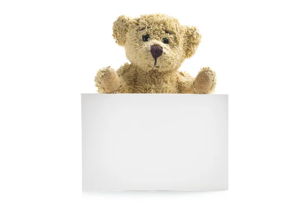 Urso de pelúcia com placa em branco — Fotografia de Stock