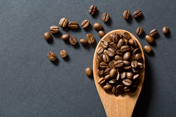 Koffie bonen in primeur — Stockfoto