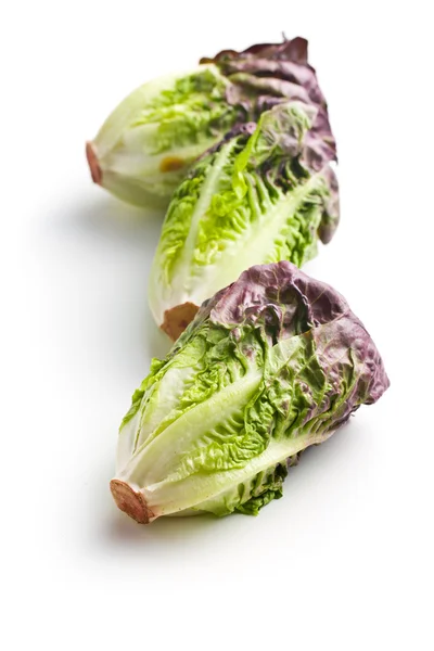 Red lettuce — Stock Photo, Image