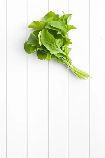 Folhas de arugula frescas — Fotografia de Stock