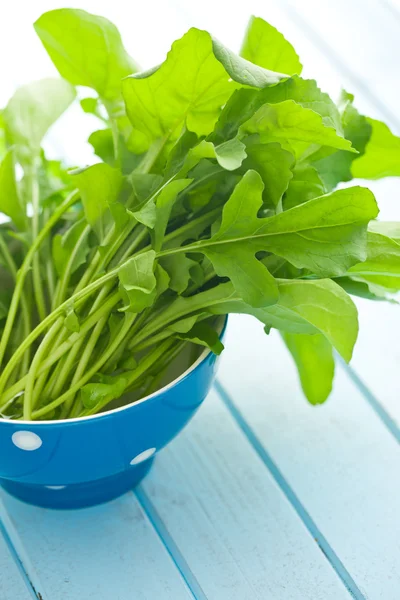 Folhas de arugula frescas na tigela — Fotografia de Stock