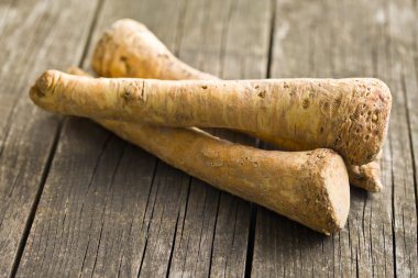 fresh horseradish root clipart