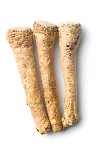 Akar horseradish segar — Stok Foto