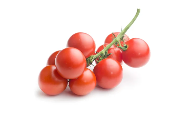 Bunch of tomatoes — Stock Photo, Image