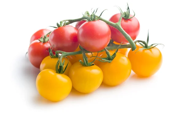 Tomates amarillos y rojos —  Fotos de Stock
