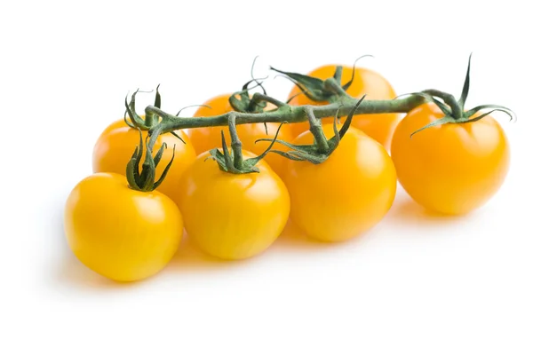 Gelbe Tomaten — Stockfoto